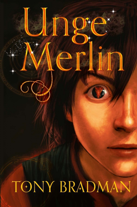 Unge_Merlin_5087b0e2a8ddf.jpg